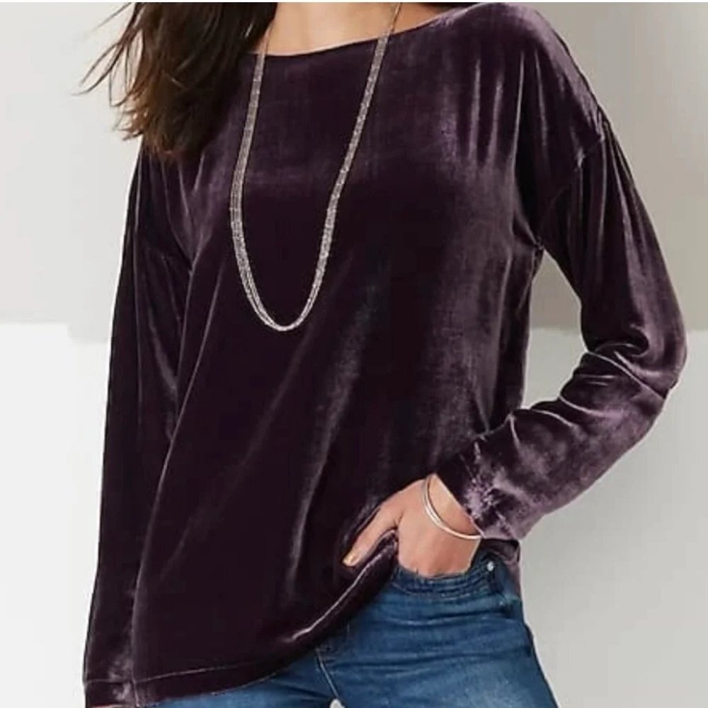 NWT New $199 J. Jill Rayon Silk Velvet Long Sleeve Dark Fig Purple Top Size M